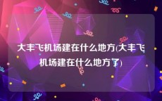 大丰飞机场建在什么地方(大丰飞机场建在什么地方了)