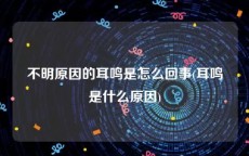 不明原因的耳鸣是怎么回事(耳鸣是什么原因)