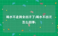 喝水不走肾全出汗了(喝水不出汗怎么回事)