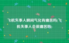 飞机失事人瞬间气化有痛苦吗(飞机失事人会很痛苦吗)