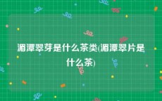 湄潭翠芽是什么茶类(湄潭翠片是什么茶)