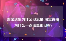 淘宝店里为什么没流量(淘宝直播为什么一点流量都没有)