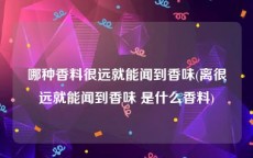 哪种香料很远就能闻到香味(离很远就能闻到香味 是什么香料)
