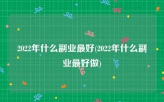 2022年什么副业最好(2022年什么副业最好做)