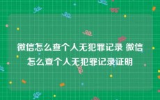 微信怎么查个人无犯罪记录 微信怎么查个人无犯罪记录证明