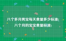 八个多月男宝每天食量多少标准(八个月的宝宝食量标准)