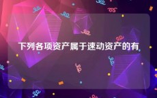 下列各项资产属于速动资产的有