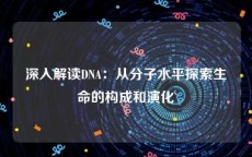 深入解读DNA：从分子水平探索生命的构成和演化