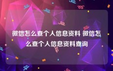 微信怎么查个人信息资料 微信怎么查个人信息资料查询