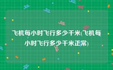 飞机每小时飞行多少千米(飞机每小时飞行多少千米正常)