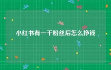 小红书有一千粉丝后怎么挣钱