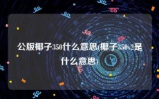 公版椰子350什么意思(椰子350v2是什么意思)