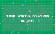 生姜第一次培土有几个枝(生姜要培几次土)