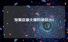 加盟店最火爆的项目2023