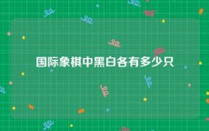 国际象棋中黑白各有多少只