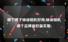 哪个牌子抽油烟机好用(抽油烟机哪个品牌最好最实用)