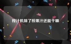 榨汁机除了榨果汁还能干嘛