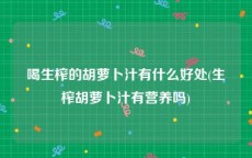 喝生榨的胡萝卜汁有什么好处(生榨胡萝卜汁有营养吗)