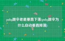 pubg跳伞老是垂直下落(pubg跳伞为什么自动垂直降落)