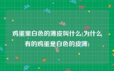 鸡蛋里白色的薄皮叫什么(为什么有的鸡蛋是白色的皮薄)