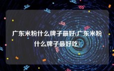 广东米粉什么牌子最好(广东米粉什么牌子最好吃)