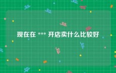 现在在 *** 开店卖什么比较好