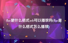 flac是什么格式usb可以播放吗(flac是什么格式怎么播放)