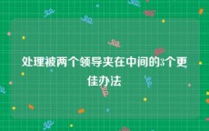 处理被两个领导夹在中间的3个更佳办法