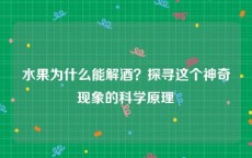 水果为什么能解酒？探寻这个神奇现象的科学原理