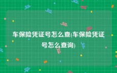 车保险凭证号怎么查(车保险凭证号怎么查询)