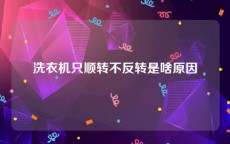 洗衣机只顺转不反转是啥原因