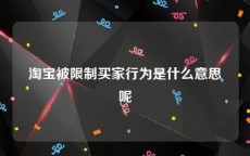 淘宝被限制买家行为是什么意思呢
