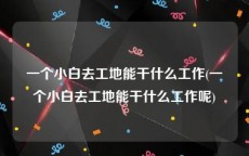 一个小白去工地能干什么工作(一个小白去工地能干什么工作呢)