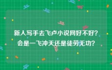 新人写手去飞卢小说网好不好？会是一飞冲天还是徒劳无功？
