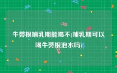 牛蒡根哺乳期能喝不(哺乳期可以喝牛蒡根泡水吗)