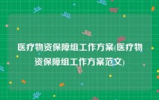 医疗物资保障组工作方案(医疗物资保障组工作方案范文)