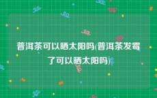 普洱茶可以晒太阳吗(普洱茶发霉了可以晒太阳吗)