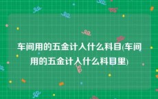 车间用的五金计入什么科目(车间用的五金计入什么科目里)