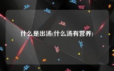 什么是出汤(什么汤有营养)