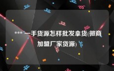  *** 一手货源怎样批发拿货(微商加盟厂家货源)