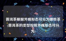 普洱茶根据外观形态可分为哪些茶(普洱茶的类型按照外观形态可分为)