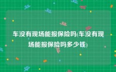 车没有现场能报保险吗(车没有现场能报保险吗多少钱)