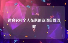 适合农村个人在家创业项目管回收