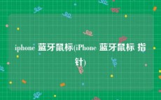iphone 蓝牙鼠标(iPhone 蓝牙鼠标 指针)