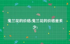 鬼兰花的价格(鬼兰花的价格是多少)