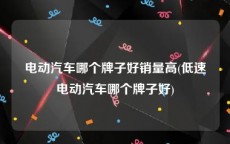 电动汽车哪个牌子好销量高(低速电动汽车哪个牌子好)