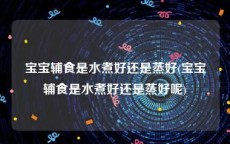 宝宝辅食是水煮好还是蒸好(宝宝辅食是水煮好还是蒸好呢)