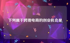下列属于跨境电商的创业机会是