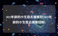 2022年做的小生意去哪里好(2022年做的小生意去哪里好呢)