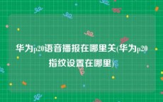 华为p20语音播报在哪里关(华为p20指纹设置在哪里)